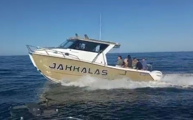 Orcat Marine